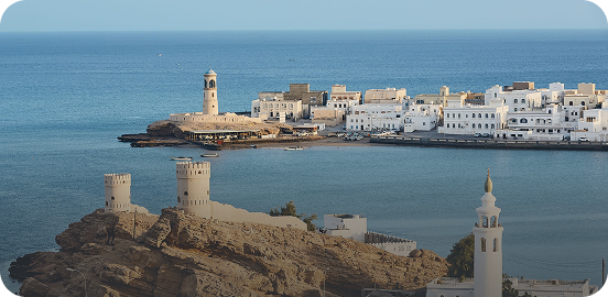 تنويع المحفظة